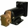 GROCO 3gpm Reversing Gear Pump, 3/8"