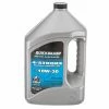 QUICKSILVER Premium SAE 10W-30 4-Stroke Marine Engine Oil, Gallon